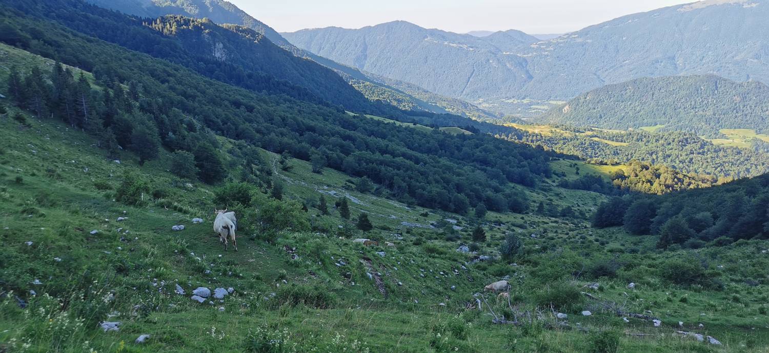Drežniške Ravne - Lopatnik slika 46