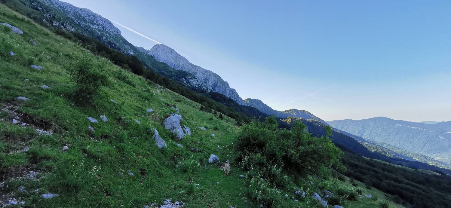 Drežniške Ravne - Lopatnik slika 47