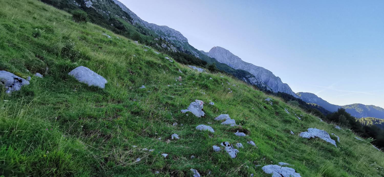 Drežniške Ravne - Lopatnik slika 51