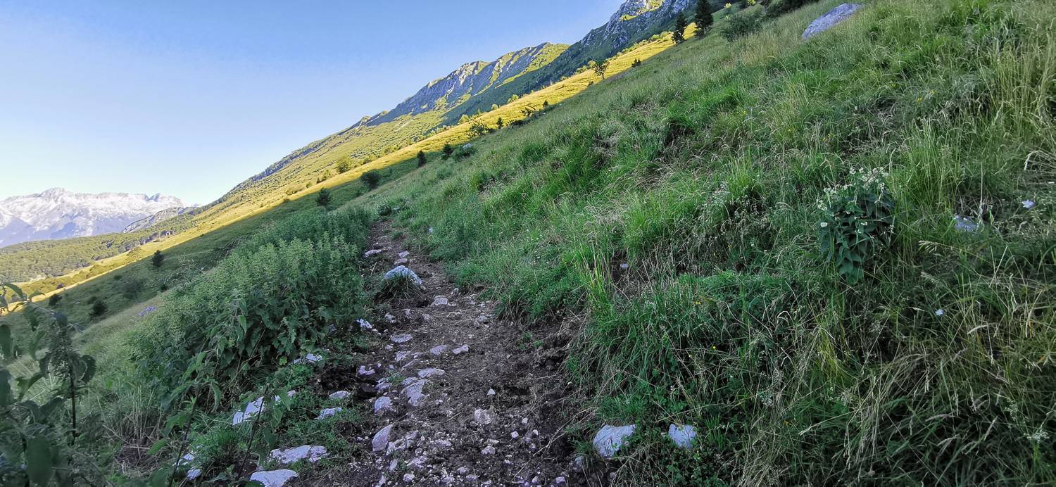 Drežniške Ravne - Lopatnik slika 55