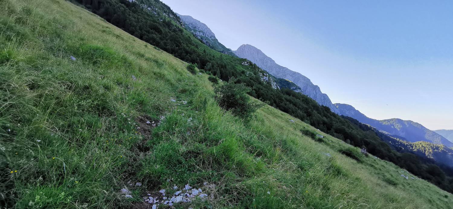 Drežniške Ravne - Lopatnik slika 56