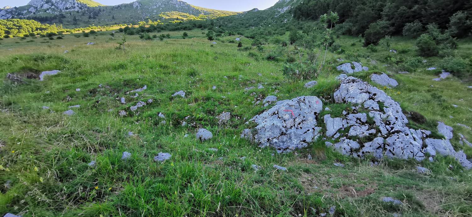 Drežniške Ravne - Lopatnik slika 58