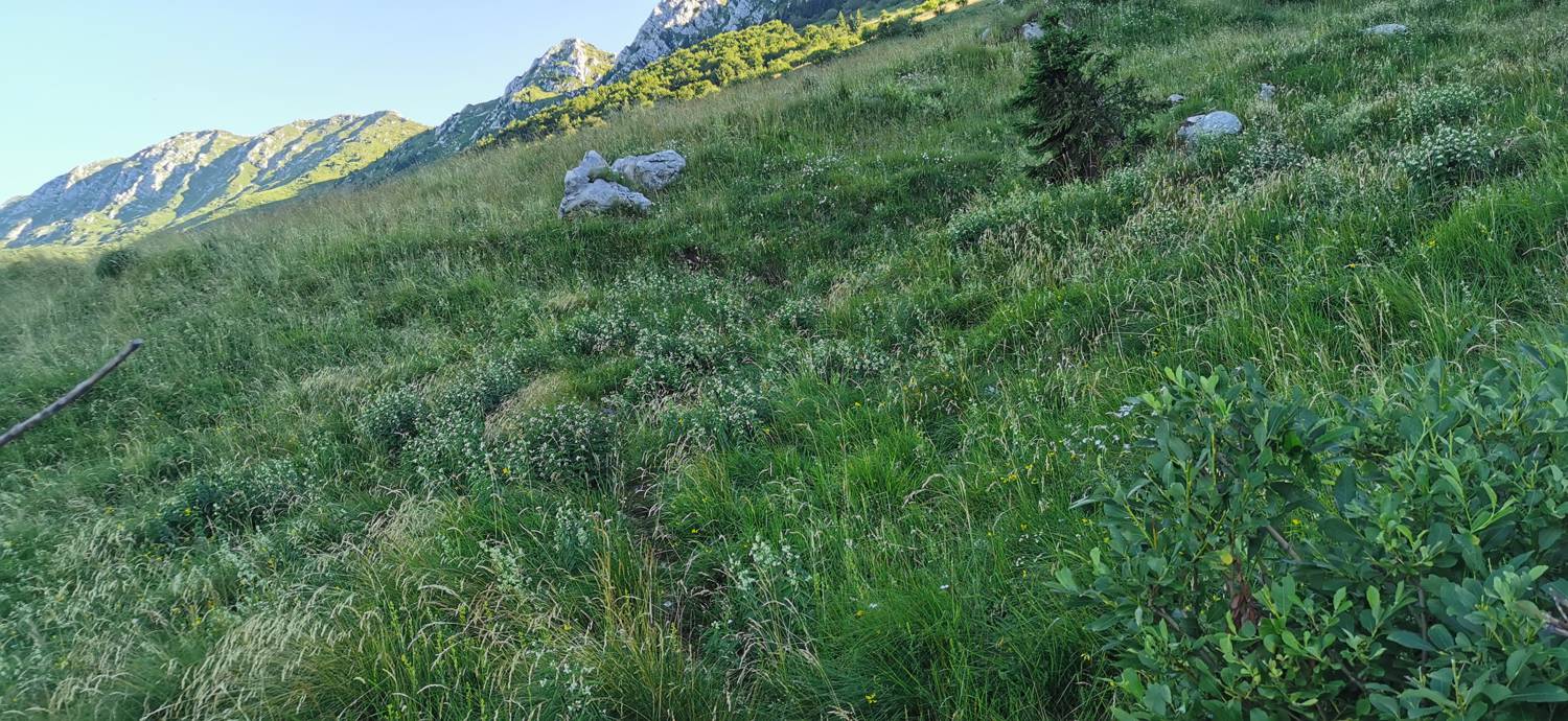 Drežniške Ravne - Lopatnik slika 59