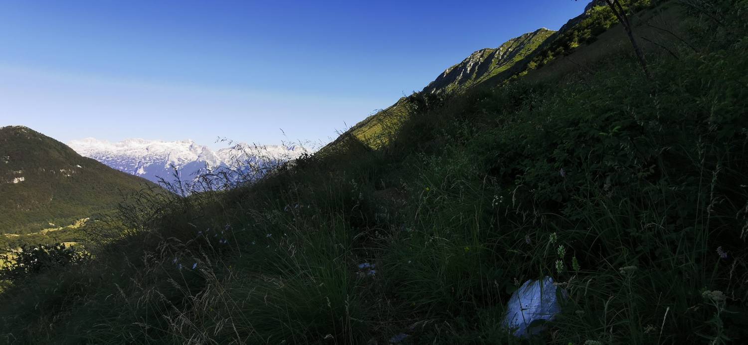 Drežniške Ravne - Lopatnik slika 61