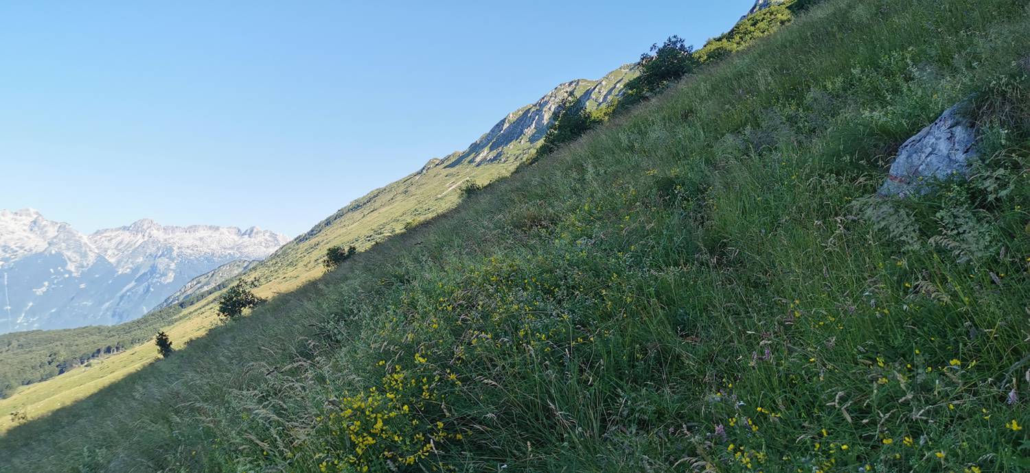Drežniške Ravne - Lopatnik slika 63