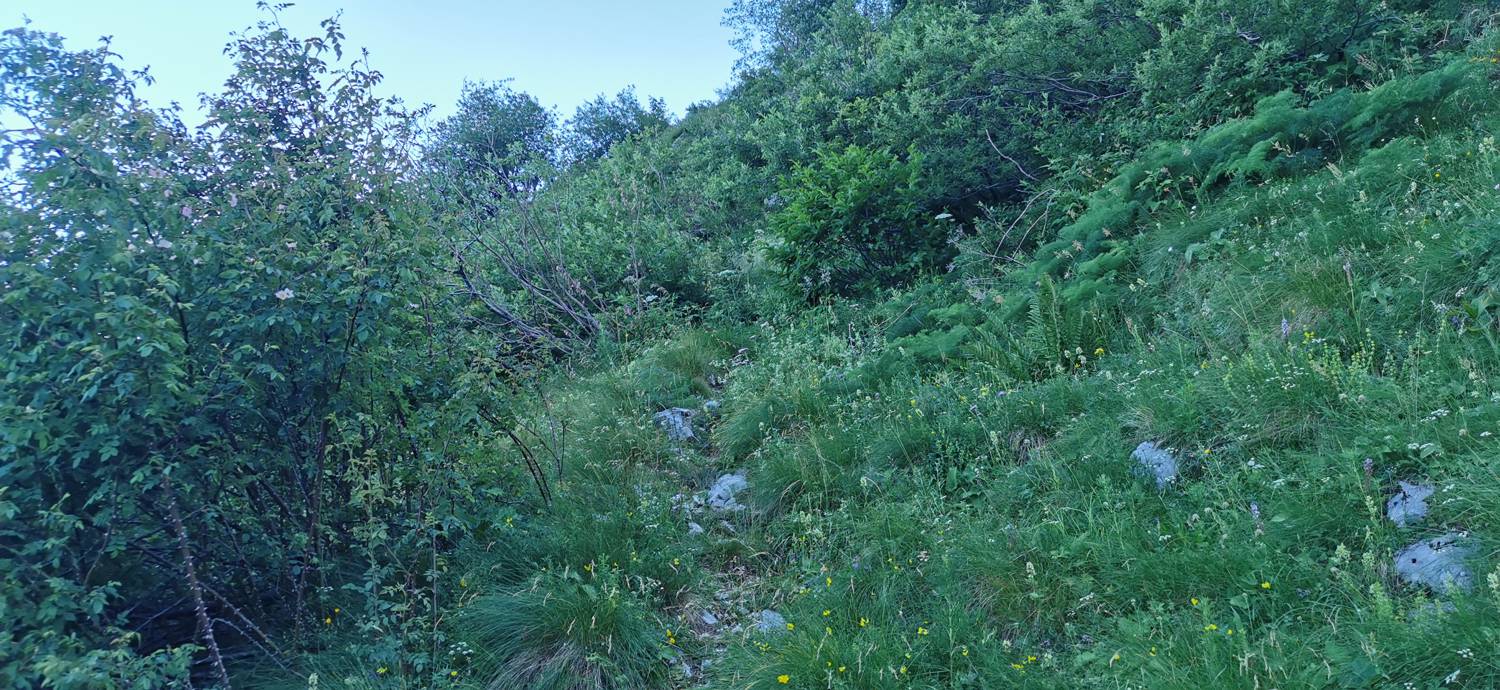 Drežniške Ravne - Lopatnik slika 64
