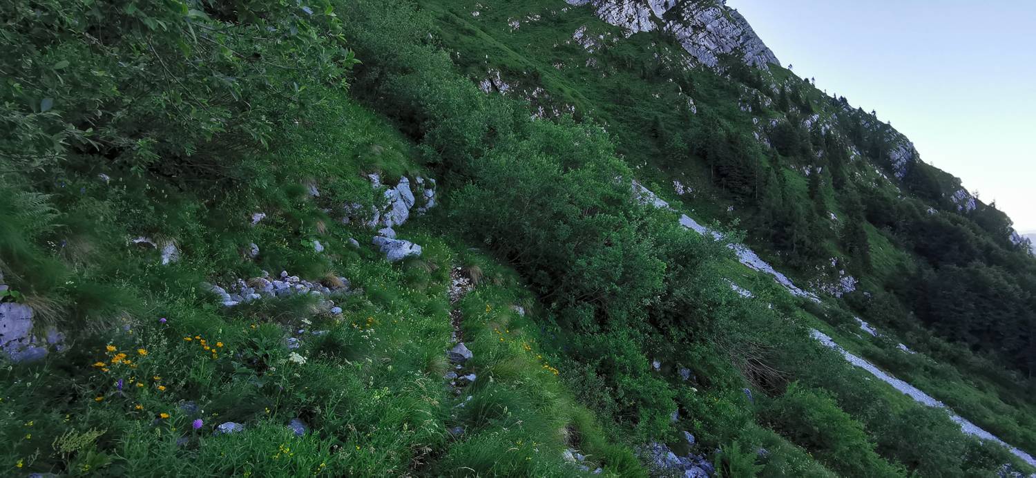 Drežniške Ravne - Lopatnik slika 65