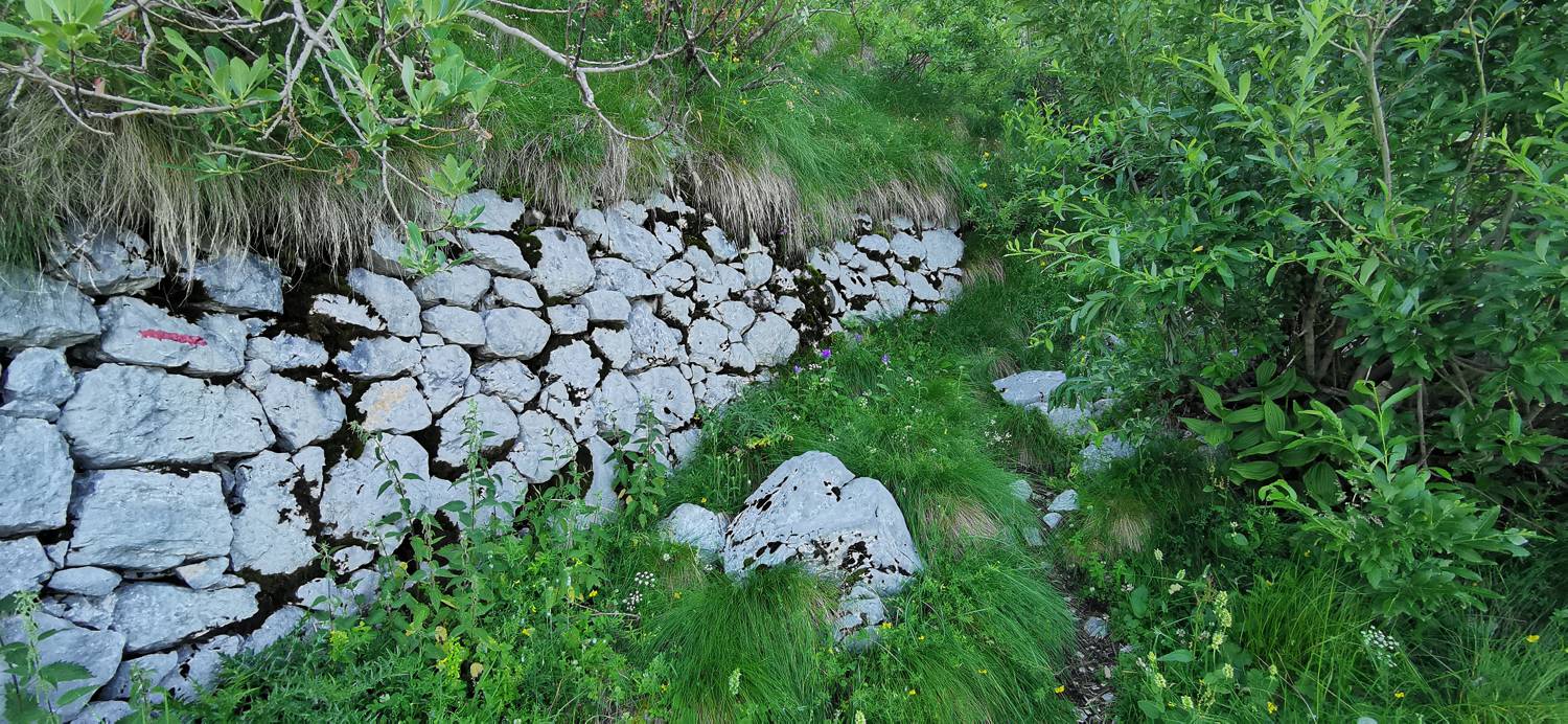 Drežniške Ravne - Lopatnik slika 66