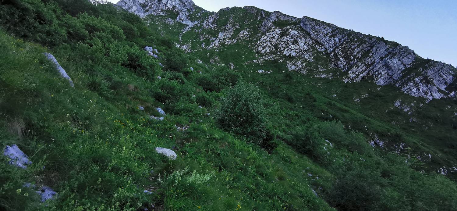 Drežniške Ravne - Lopatnik slika 67