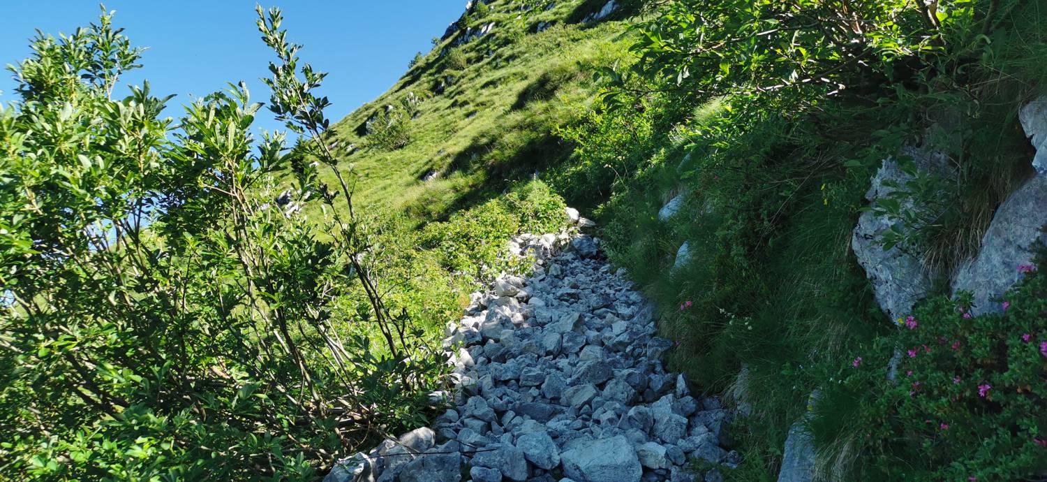 Drežniške Ravne - Lopatnik slika 71