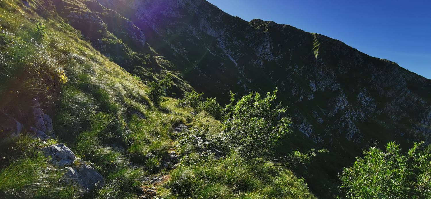 Drežniške Ravne - Lopatnik slika 72