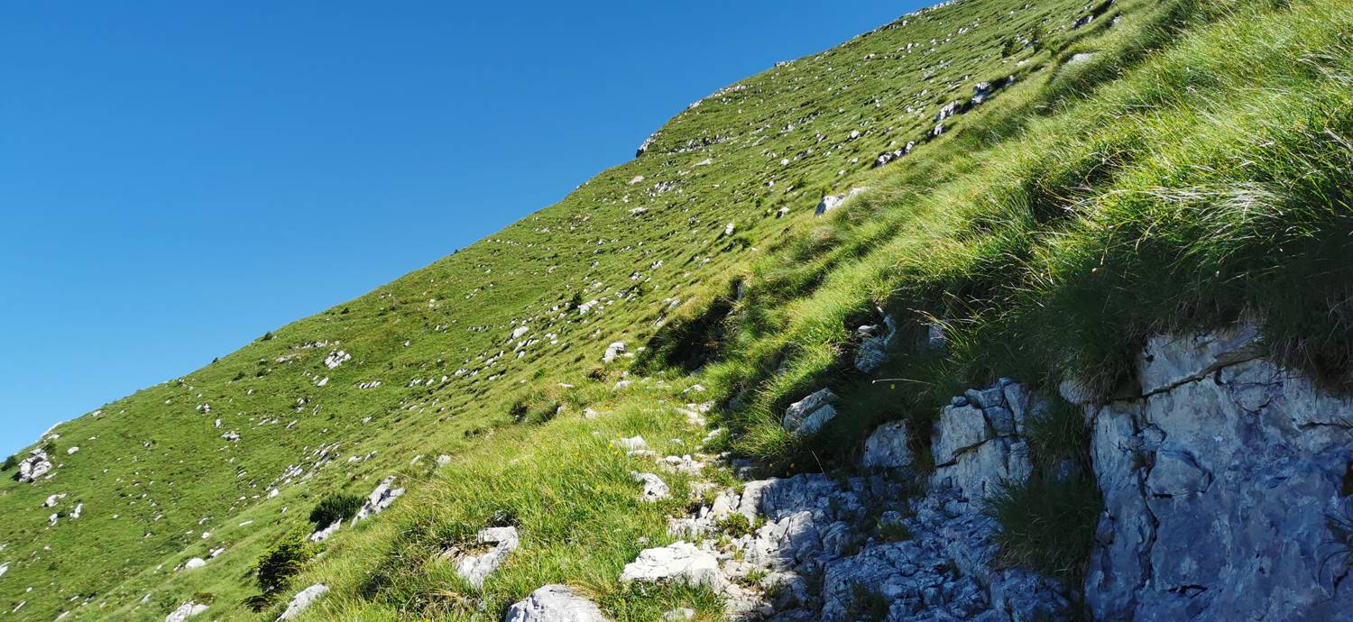 Drežniške Ravne - Lopatnik slika 75