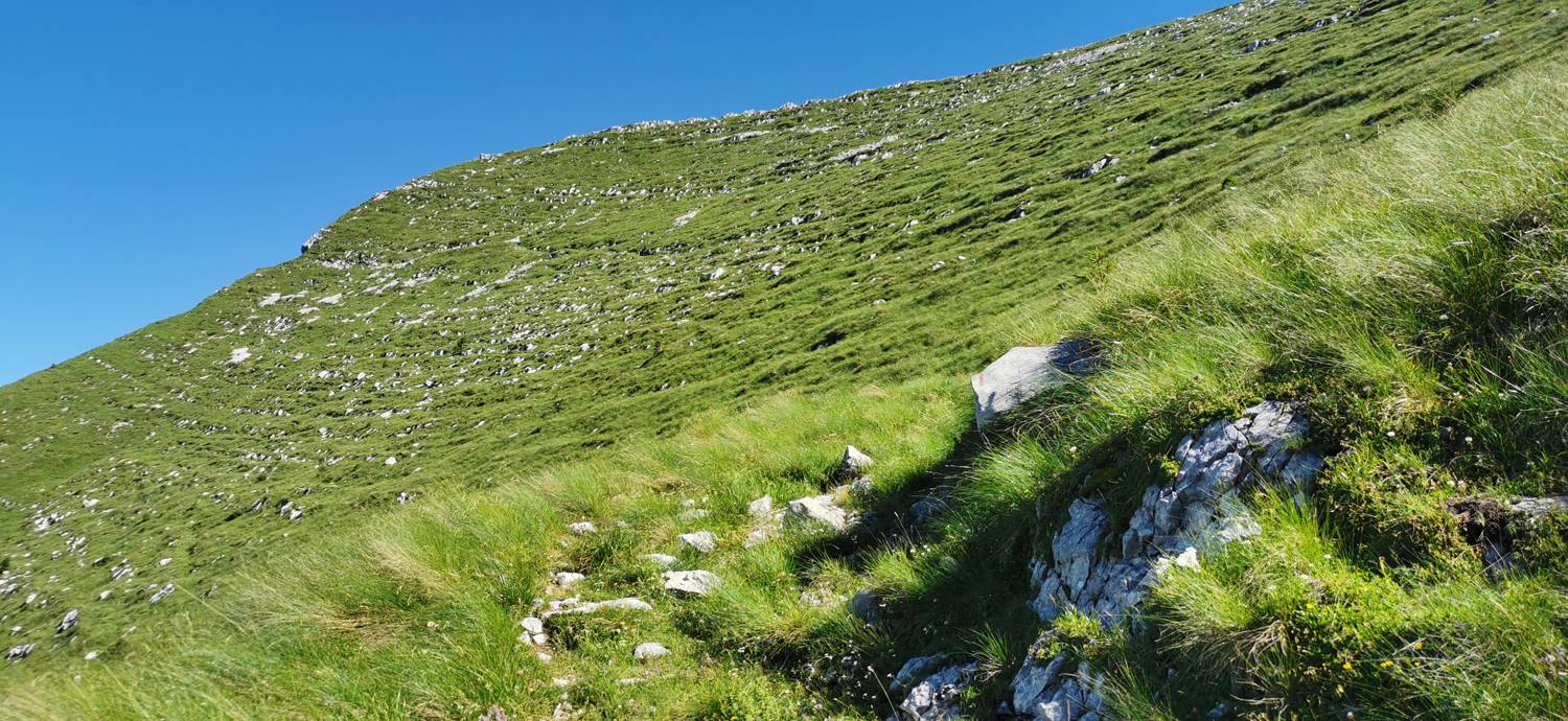 Drežniške Ravne - Lopatnik slika 77