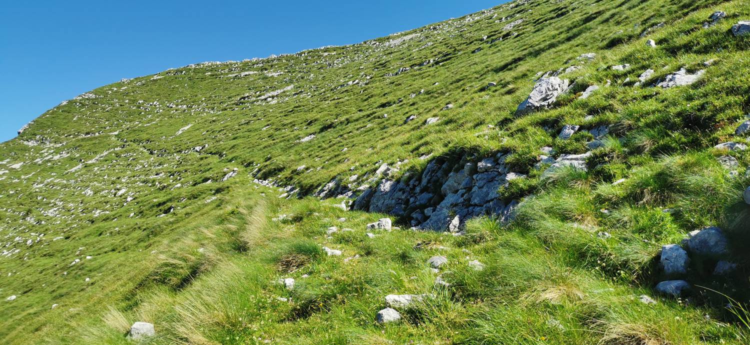 Drežniške Ravne - Lopatnik slika 78