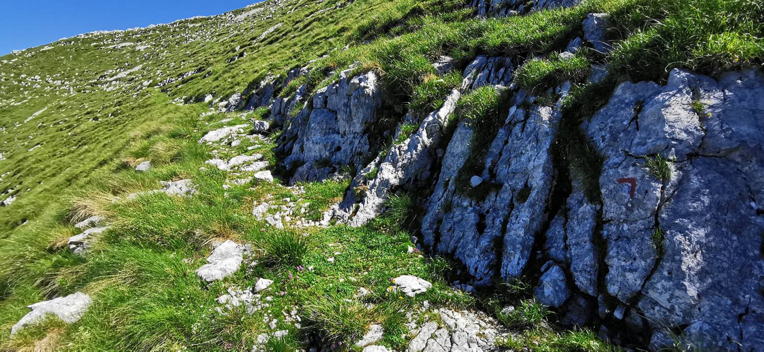 Drežniške Ravne - Lopatnik slika 79