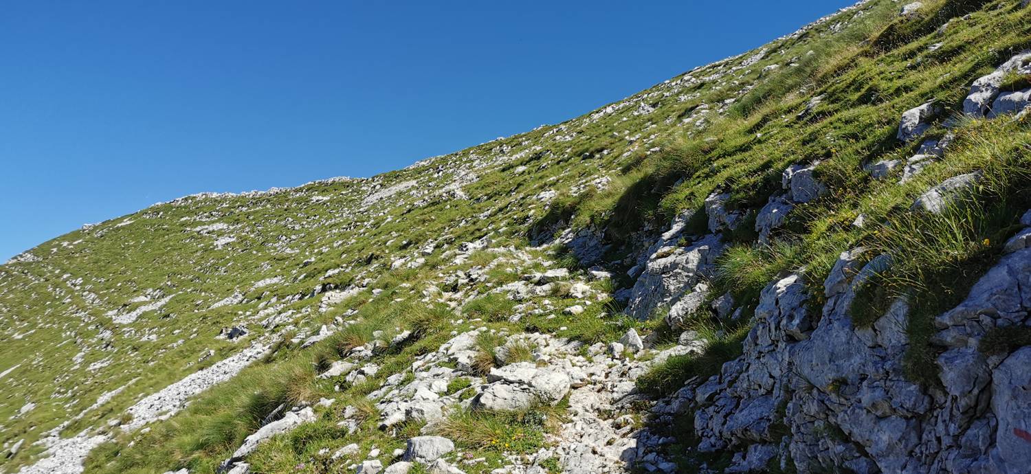 Drežniške Ravne - Lopatnik slika 80