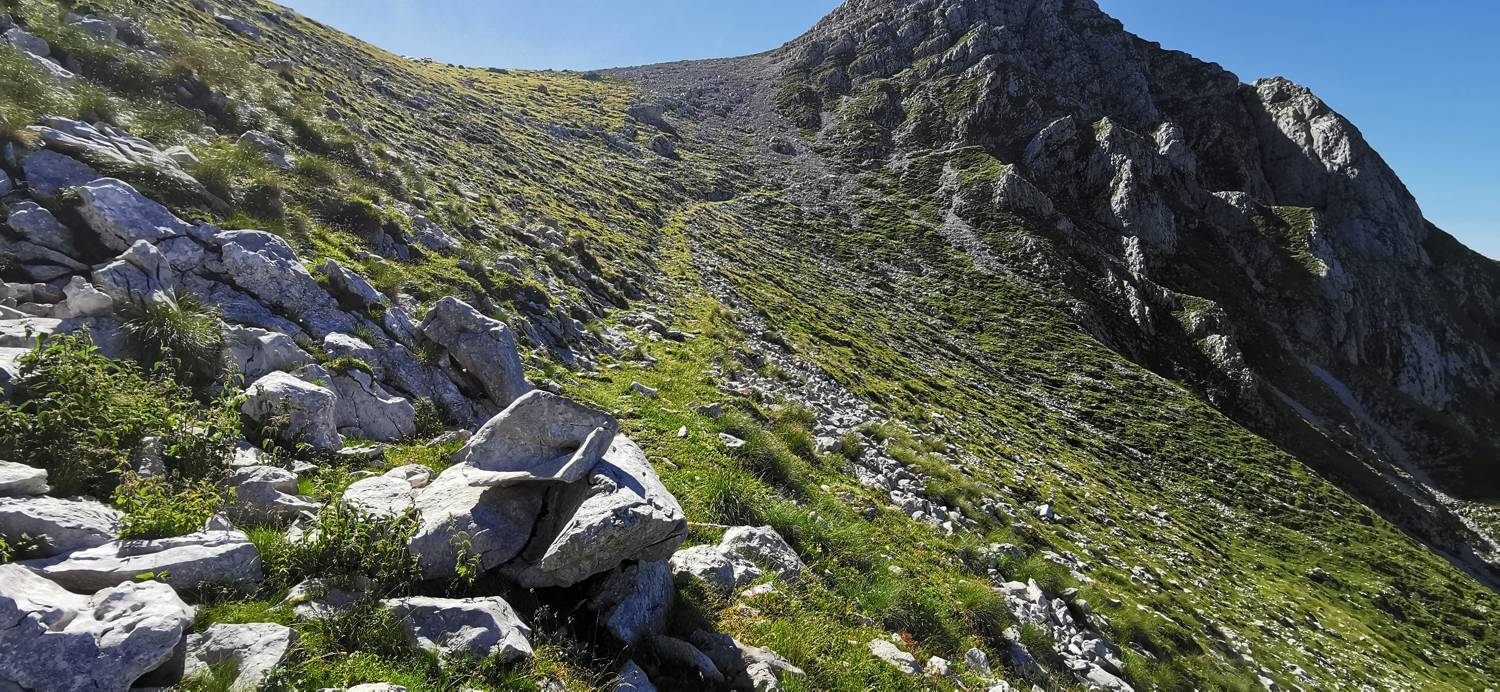 Drežniške Ravne - Lopatnik slika 81