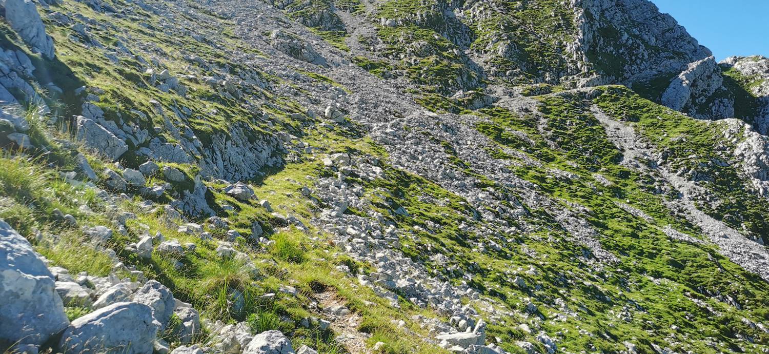 Drežniške Ravne - Lopatnik slika 82