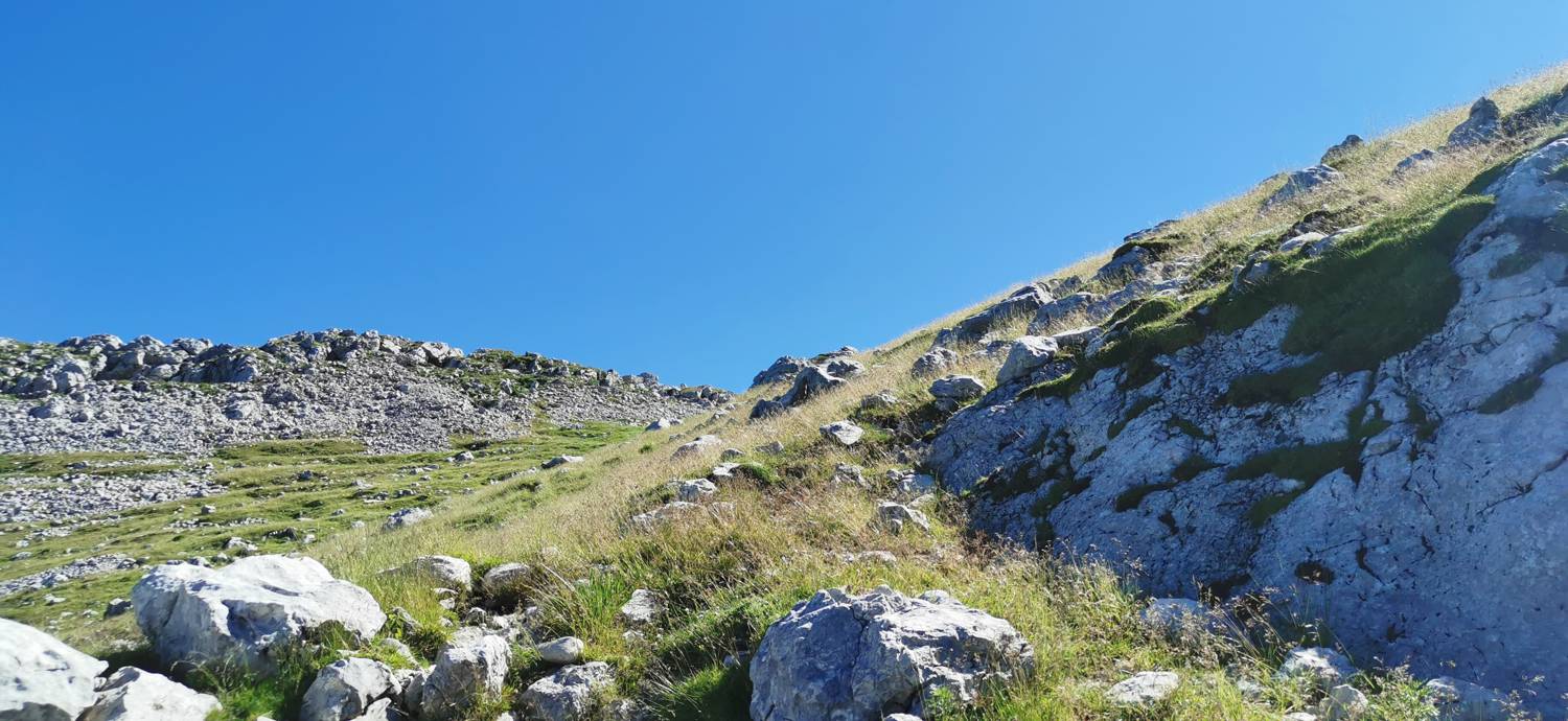 Drežniške Ravne - Lopatnik slika 87