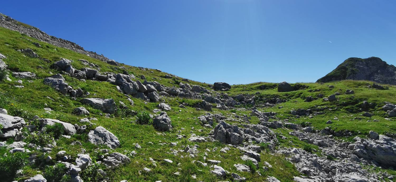 Drežniške Ravne - Lopatnik slika 89