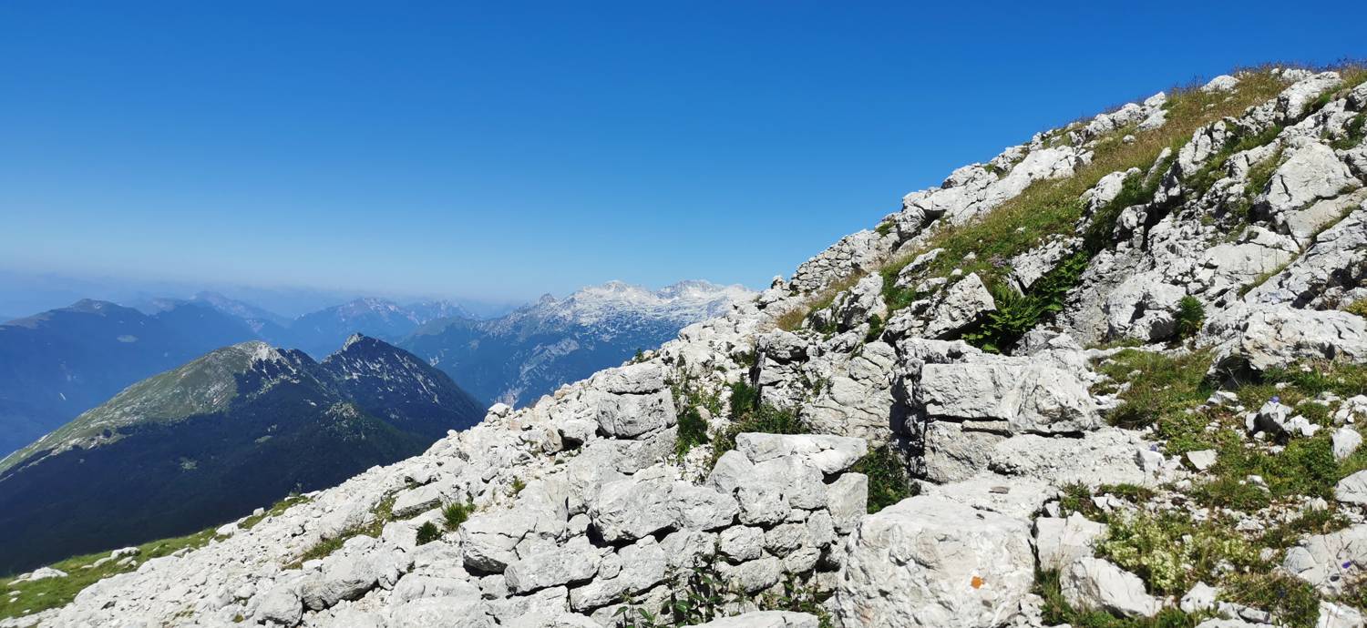 Drežniške Ravne - Lopatnik slika 95