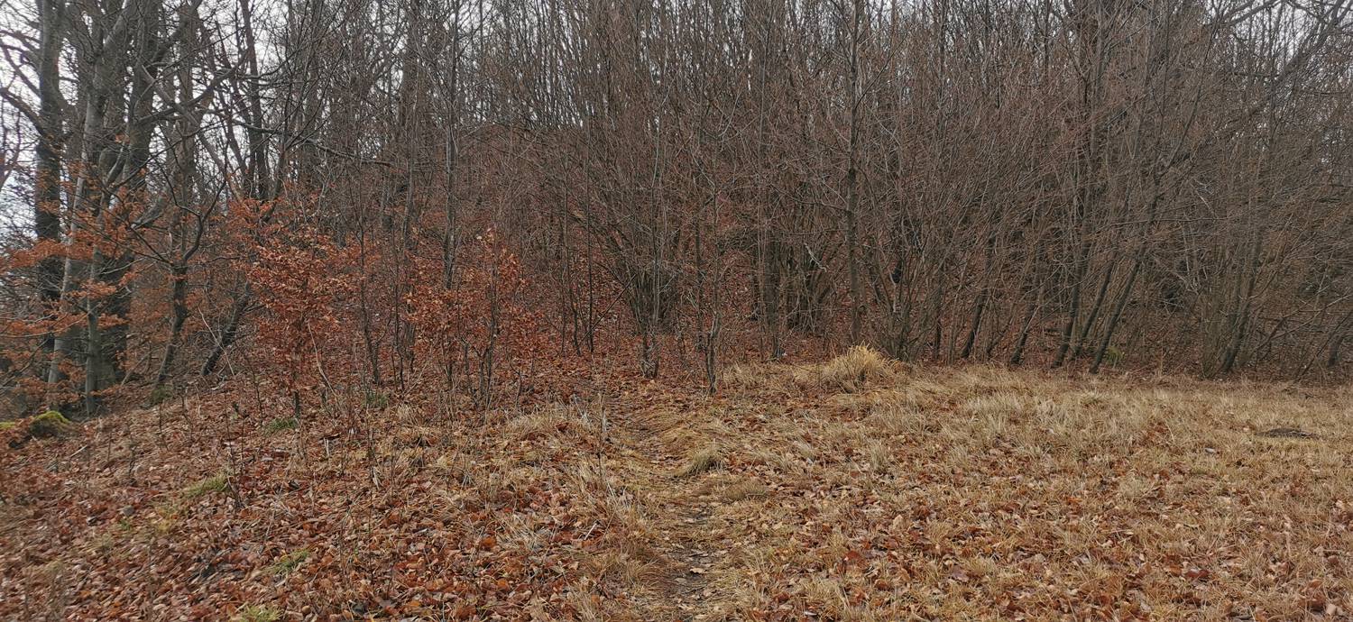 Planina (pri cerkvi) - Grmada (Planinska gora) slika 31