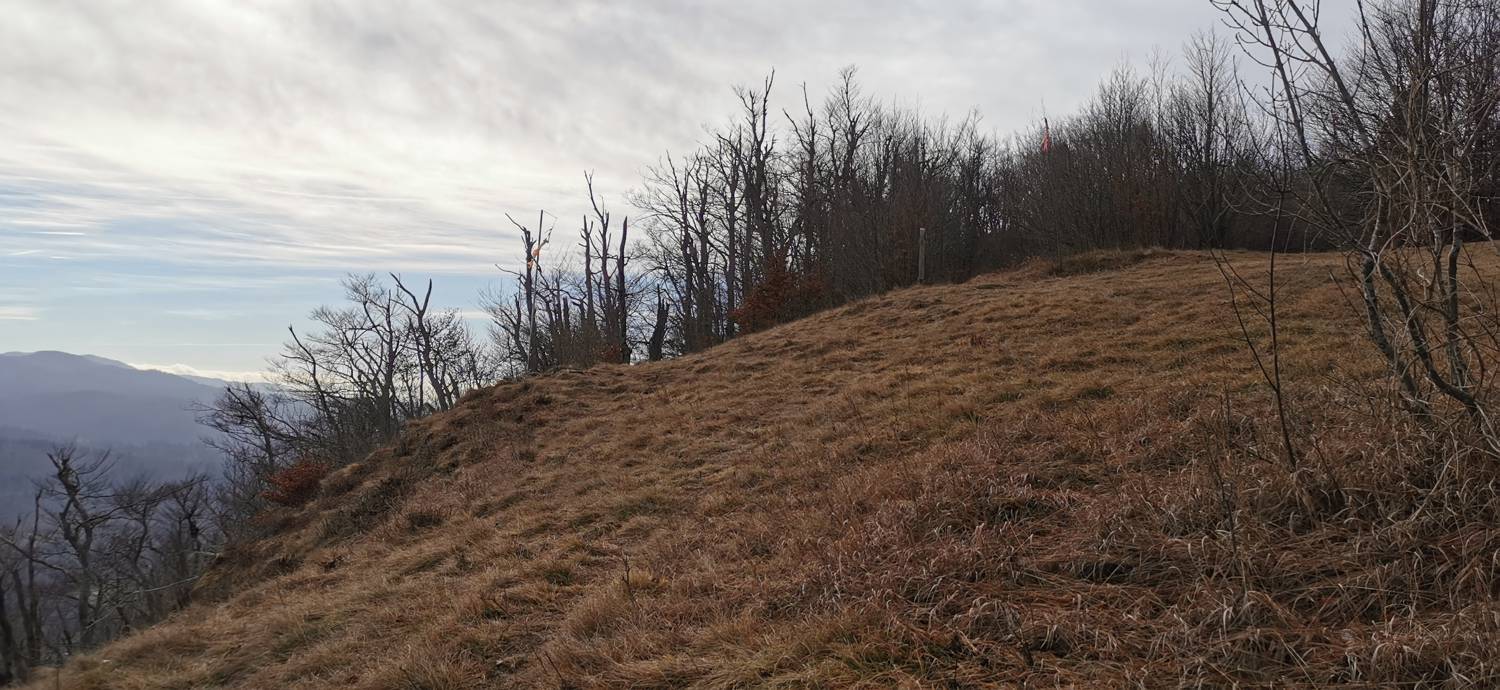 Planina (pri cerkvi) - Grmada (Planinska gora) slika 28