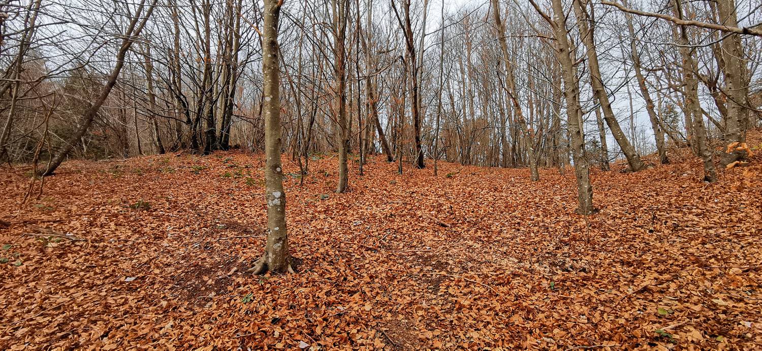 Planina (pri cerkvi) - Grmada (Planinska gora) slika 26