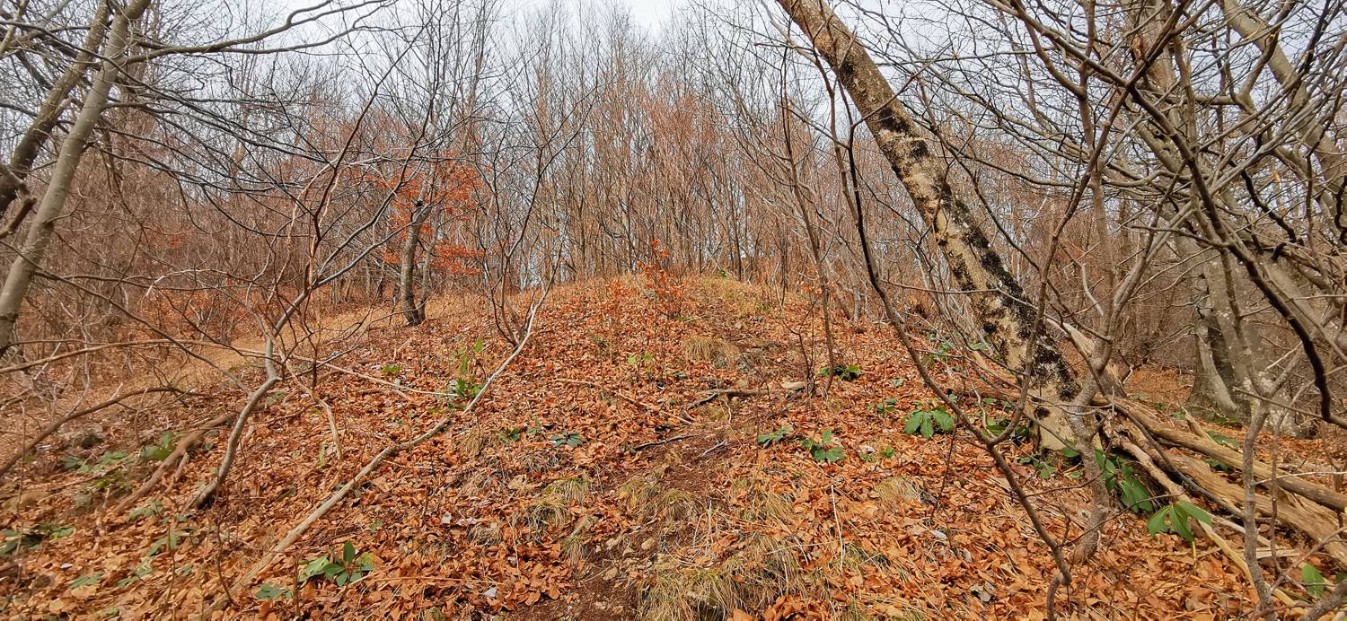 Planina (pri cerkvi) - Grmada (Planinska gora) slika 25