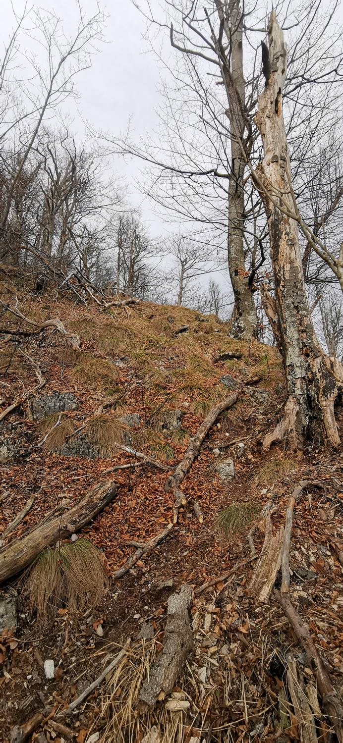 Planina (pri cerkvi) - Grmada (Planinska gora) slika 24