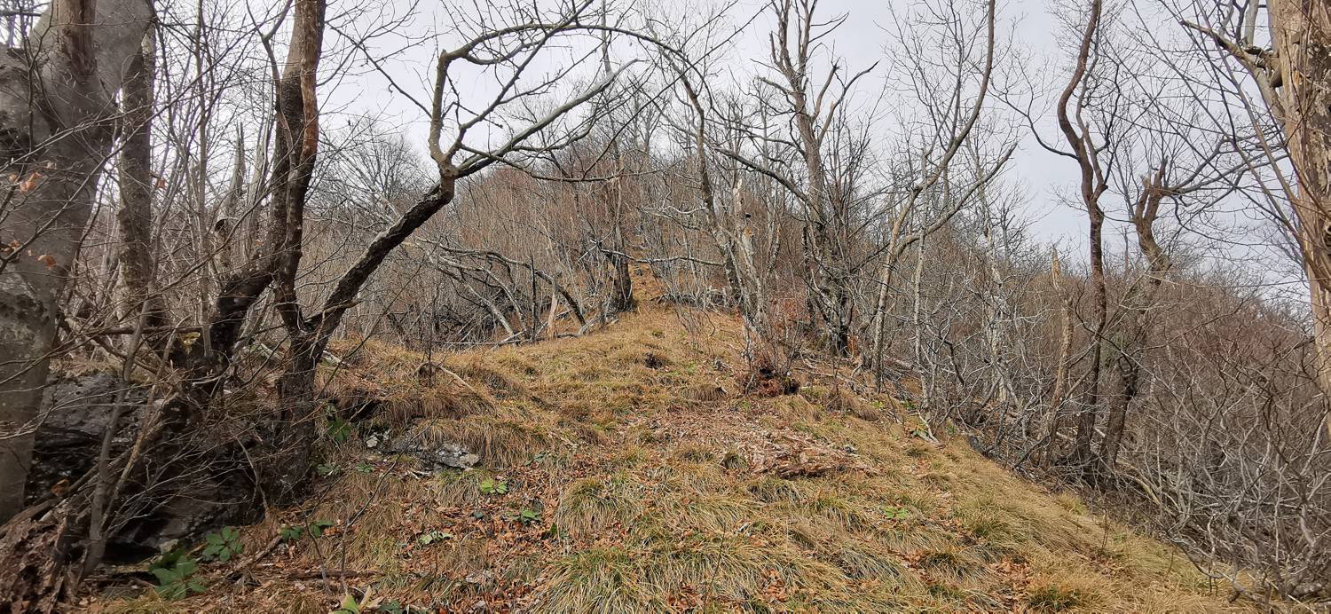 Planina (pri cerkvi) - Grmada (Planinska gora) slika 23