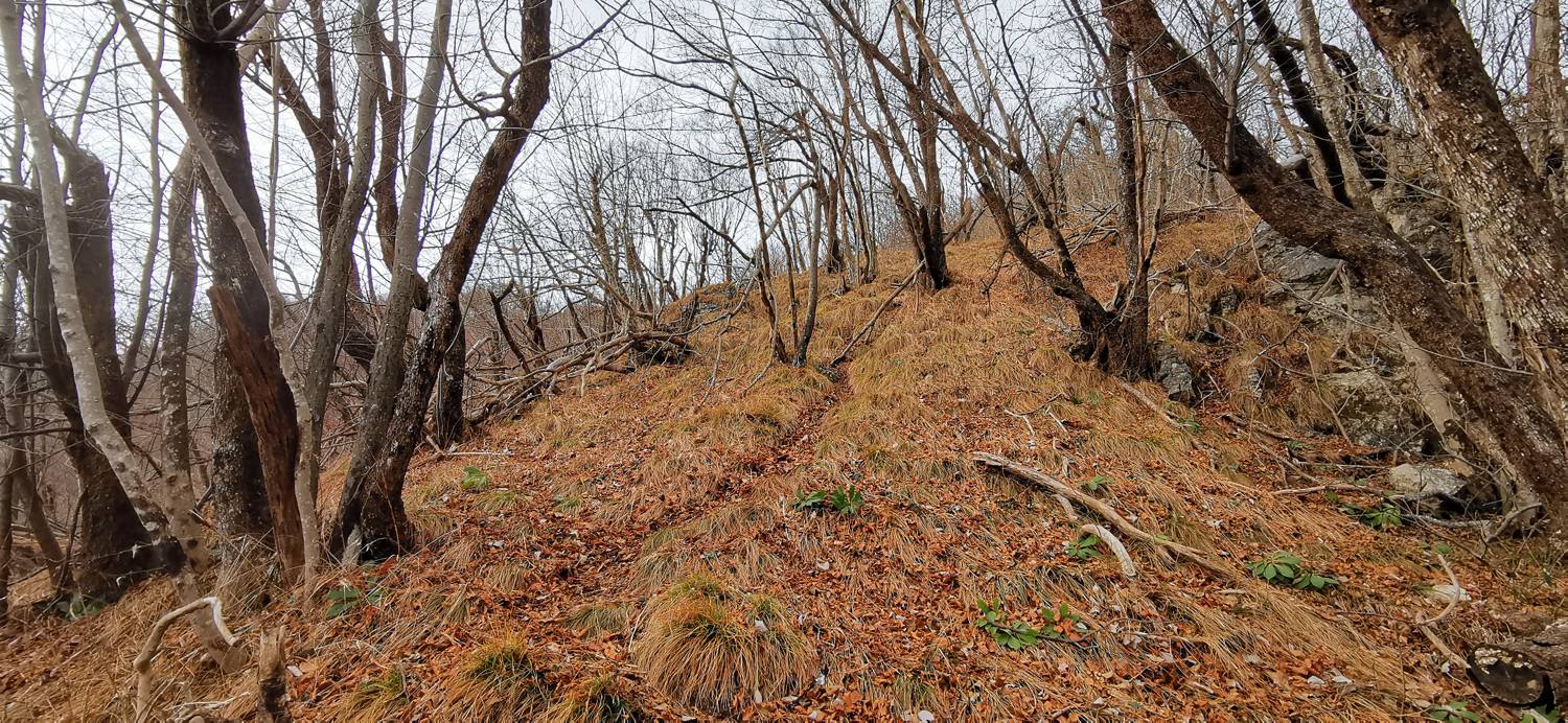 Planina (pri cerkvi) - Grmada (Planinska gora) slika 22
