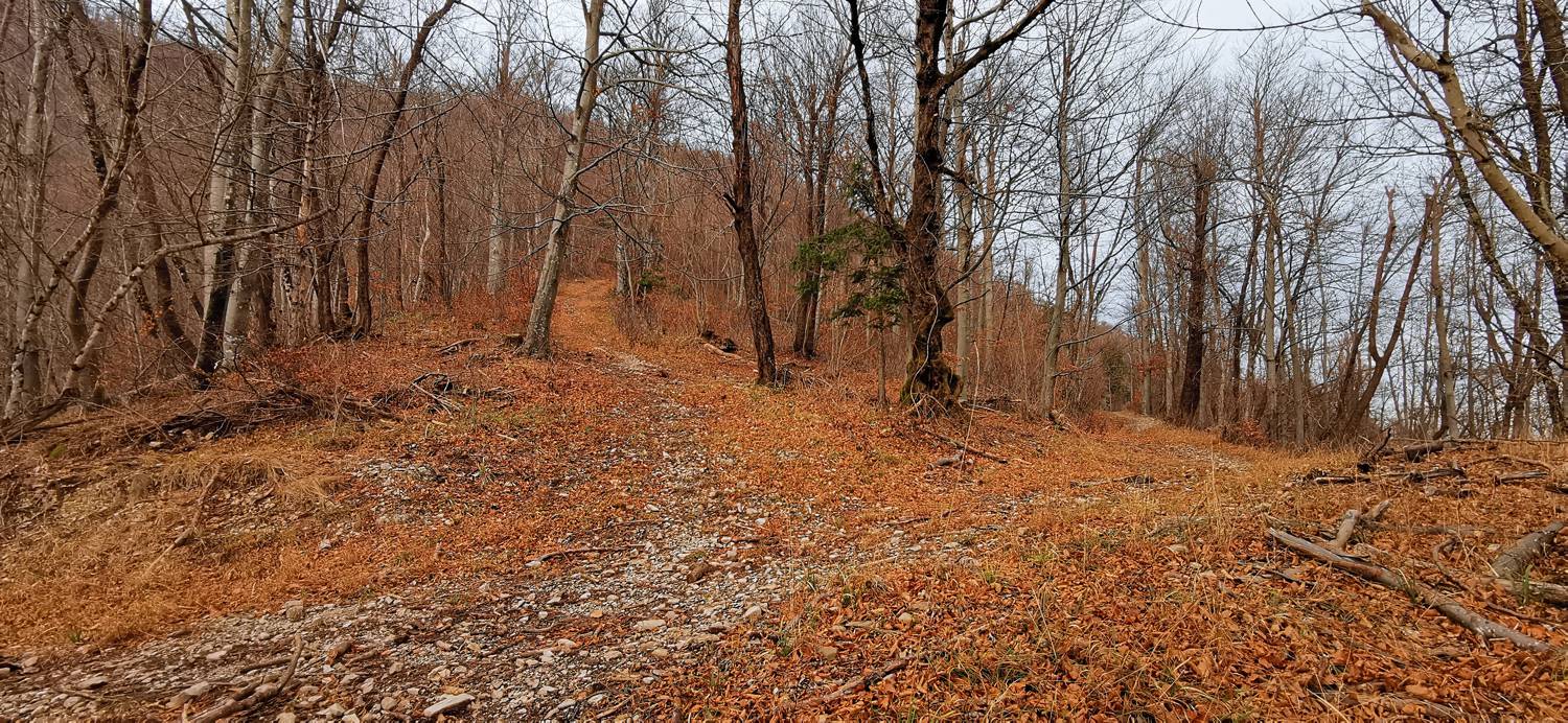 Planina (pri cerkvi) - Grmada (Planinska gora) slika 18