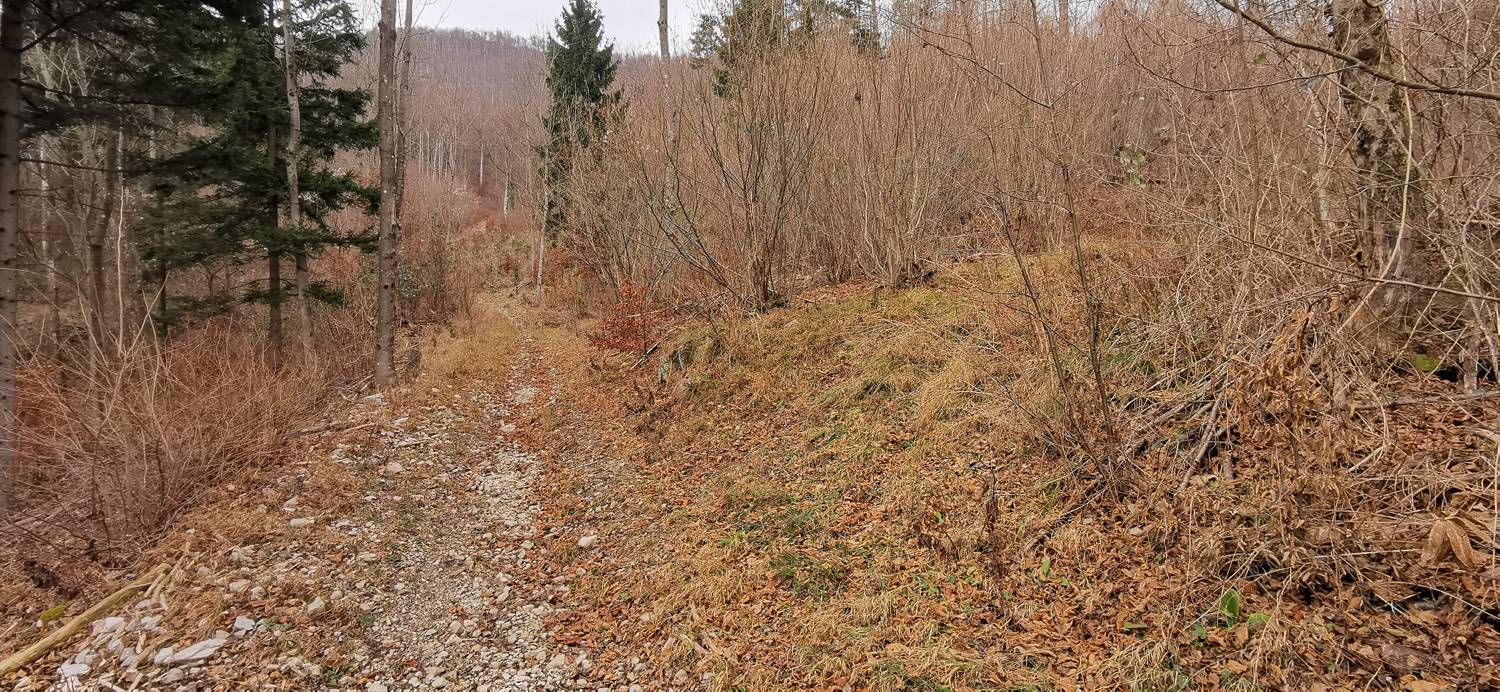 Planina (pri cerkvi) - Grmada (Planinska gora) slika 13