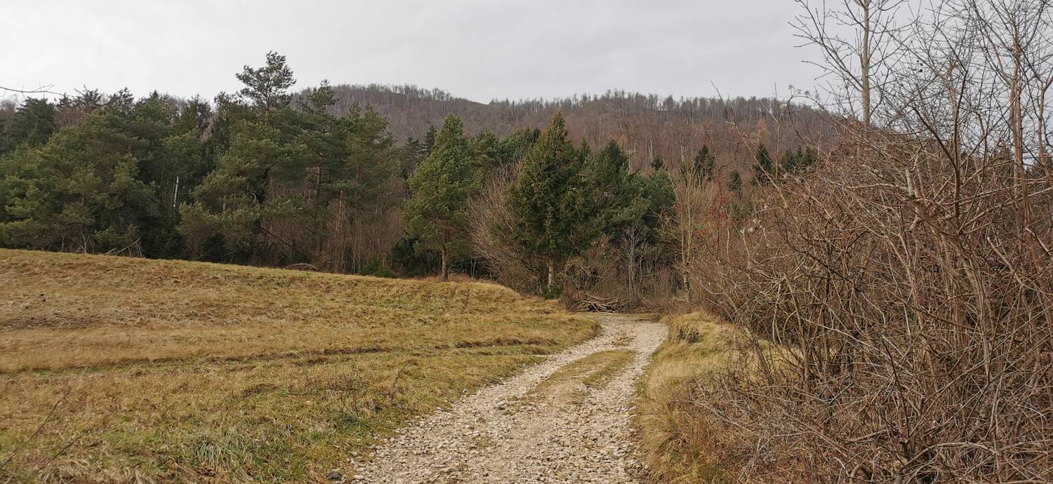 Planina (pri cerkvi) - Grmada (Planinska gora) slika 10