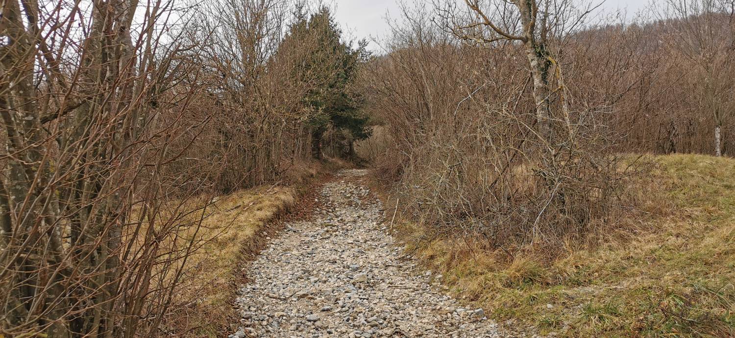 Planina (pri cerkvi) - Grmada (Planinska gora) slika 9