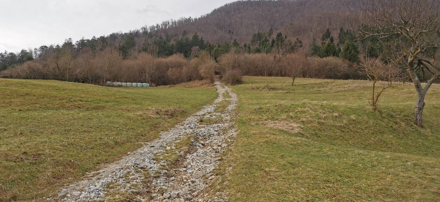 Planina (pri cerkvi) - Grmada (Planinska gora) slika 8