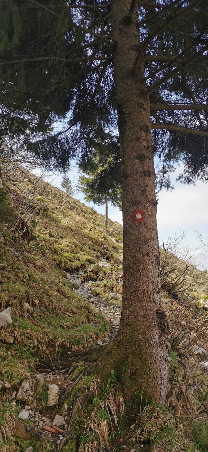 Planina Kuhinja - Planina Sleme slika 18