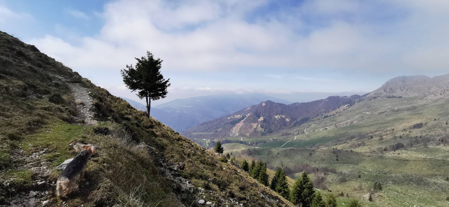 Planina Kuhinja - Planina Sleme slika 19