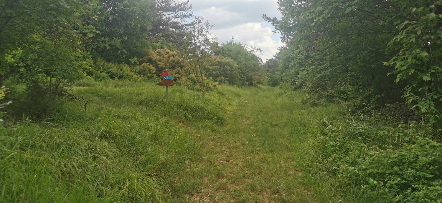 Gračišče - Lačna slika 23
