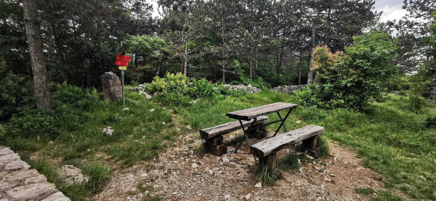 Gračišče - Lačna slika 27