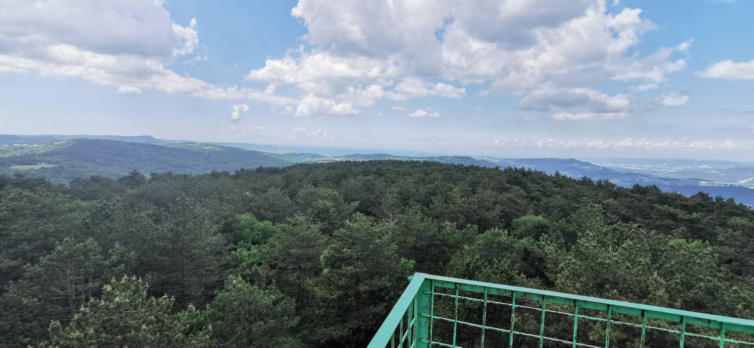 Gračišče - Lačna slika 28