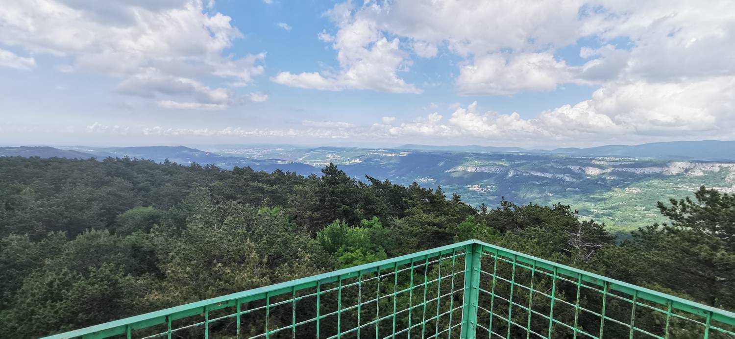 Gračišče - Lačna slika 29