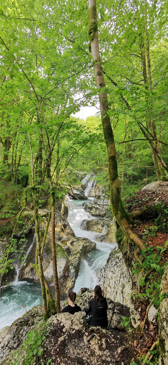 Šunikov vodni gaj main photo