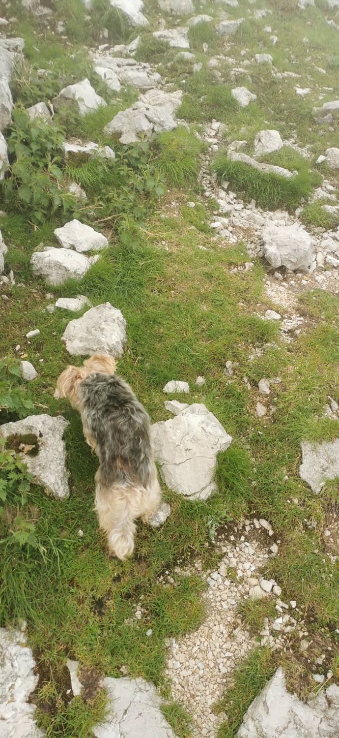 Planina Kuhinja - Batognica slika 53
