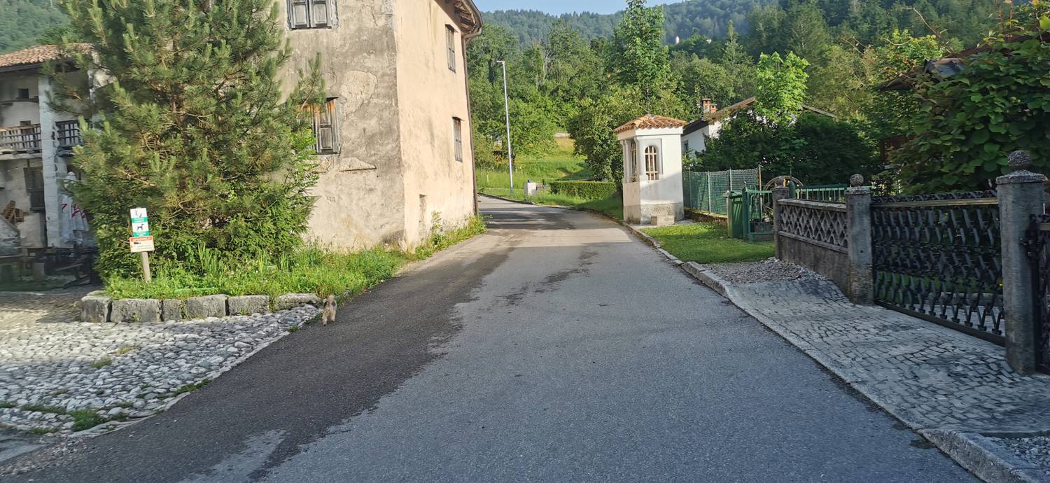 Breginj - Bivak pod Muzcem slika 3