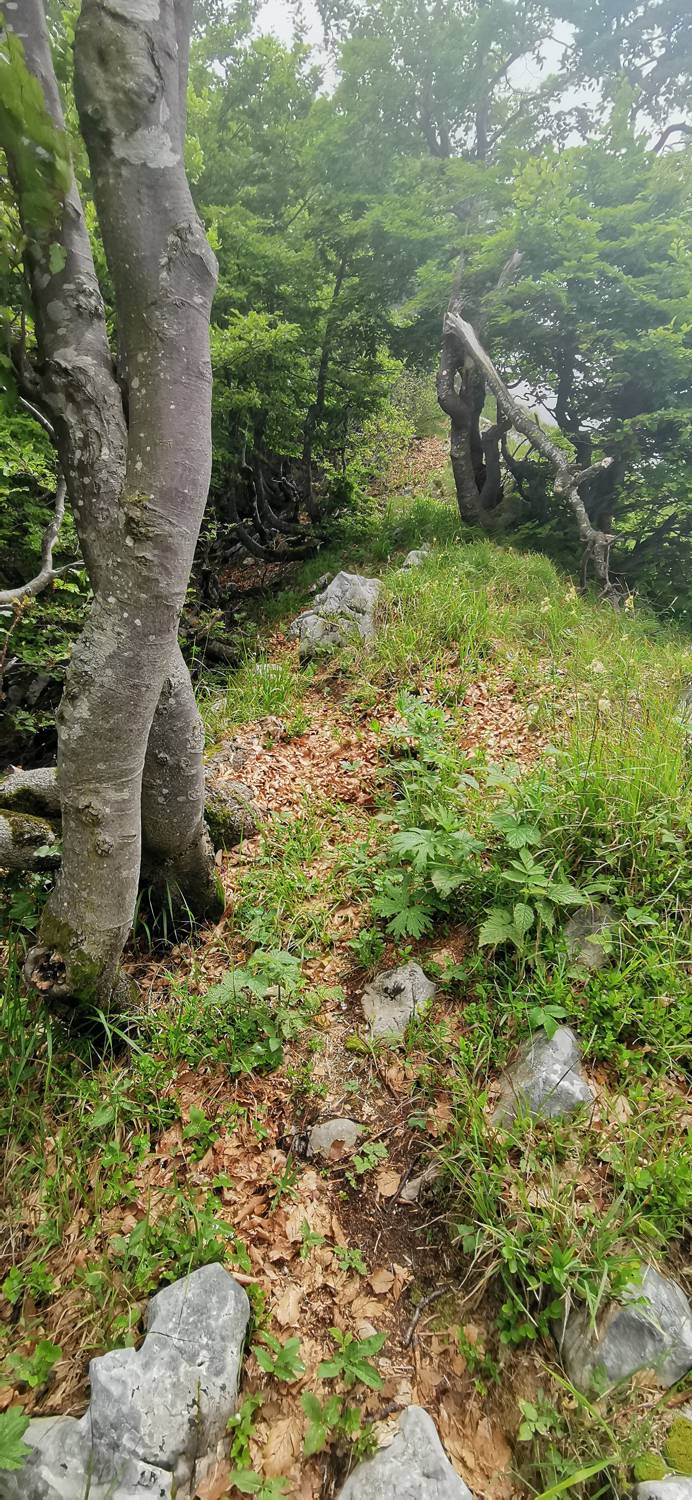 Breginj - Bivak pod Muzcem slika 71