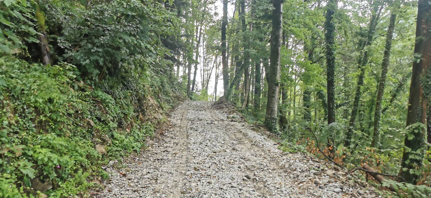 Parkirišče Šterklepce - Kozlov rob slika 11