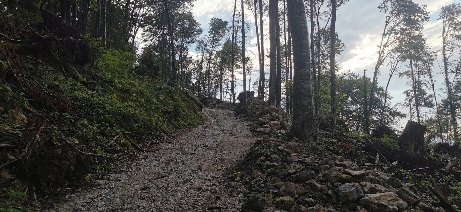 Parkirišče Šterklepce - Kozlov rob slika 13