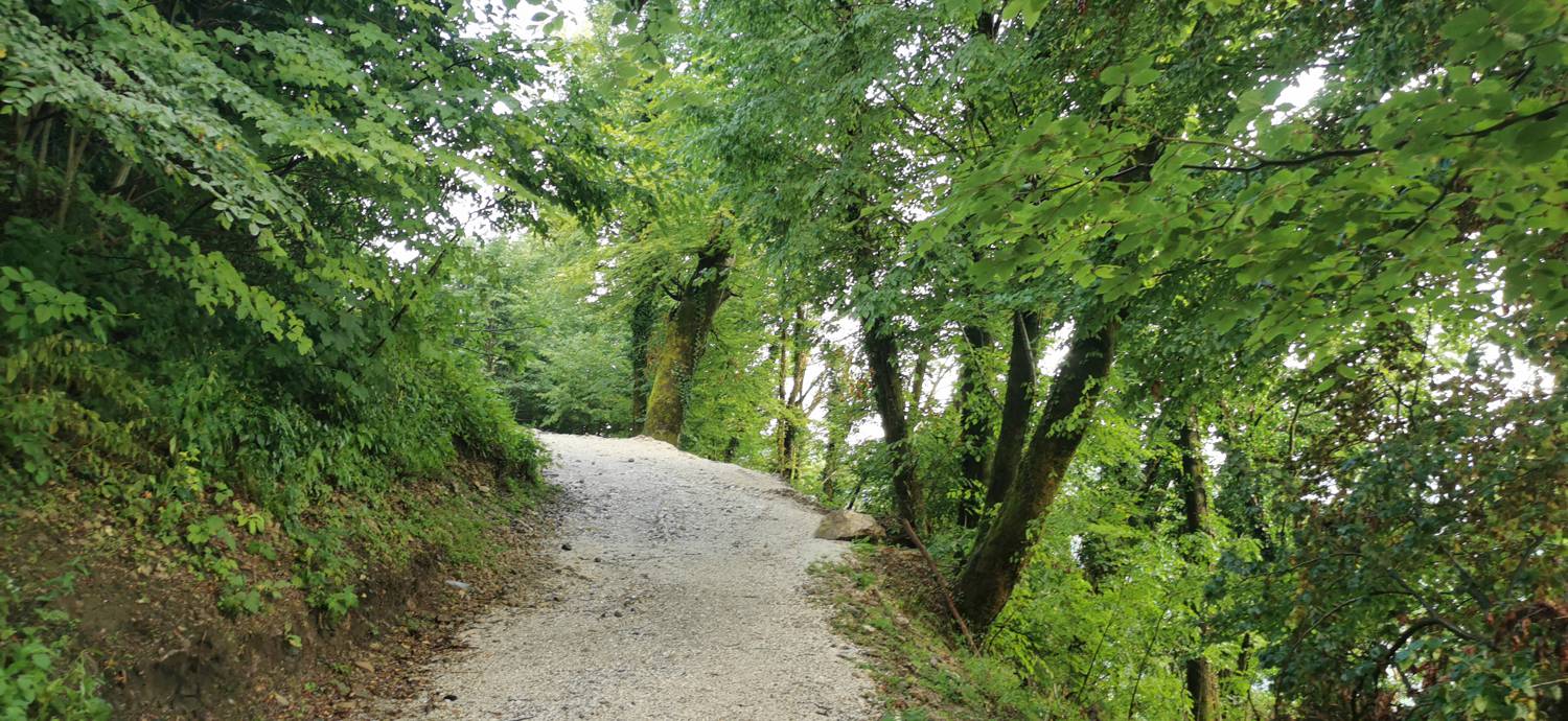 Parkirišče Šterklepce - Kozlov rob slika 22